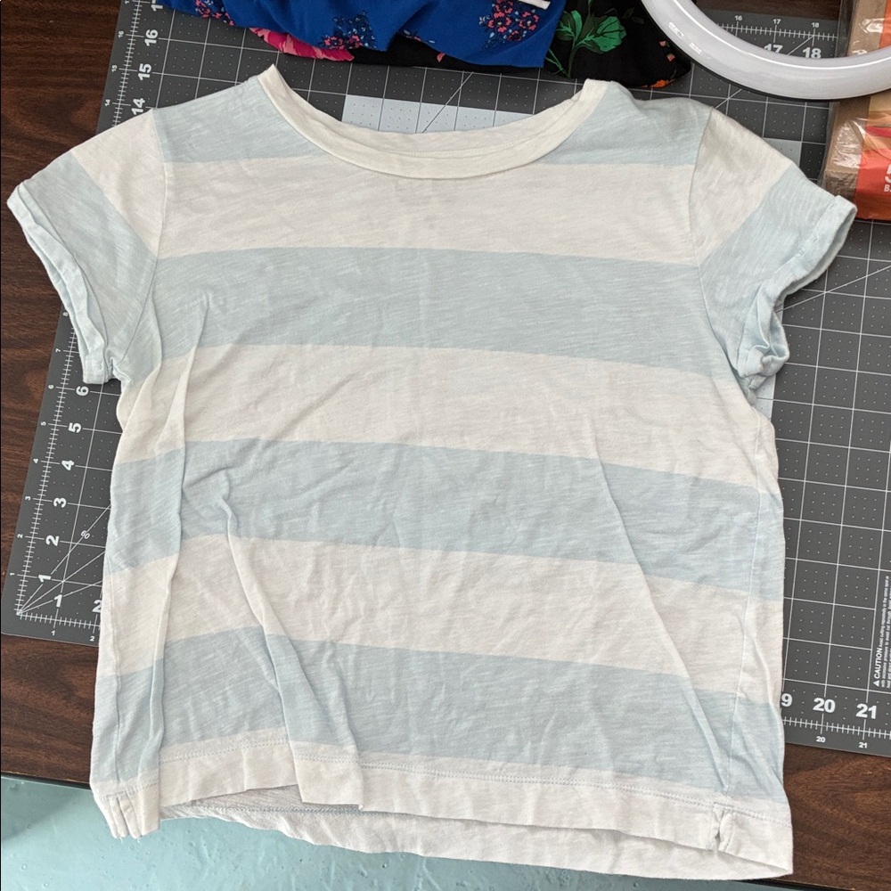 LOFT Women's Crop Tee in Light Blue and White Stripes